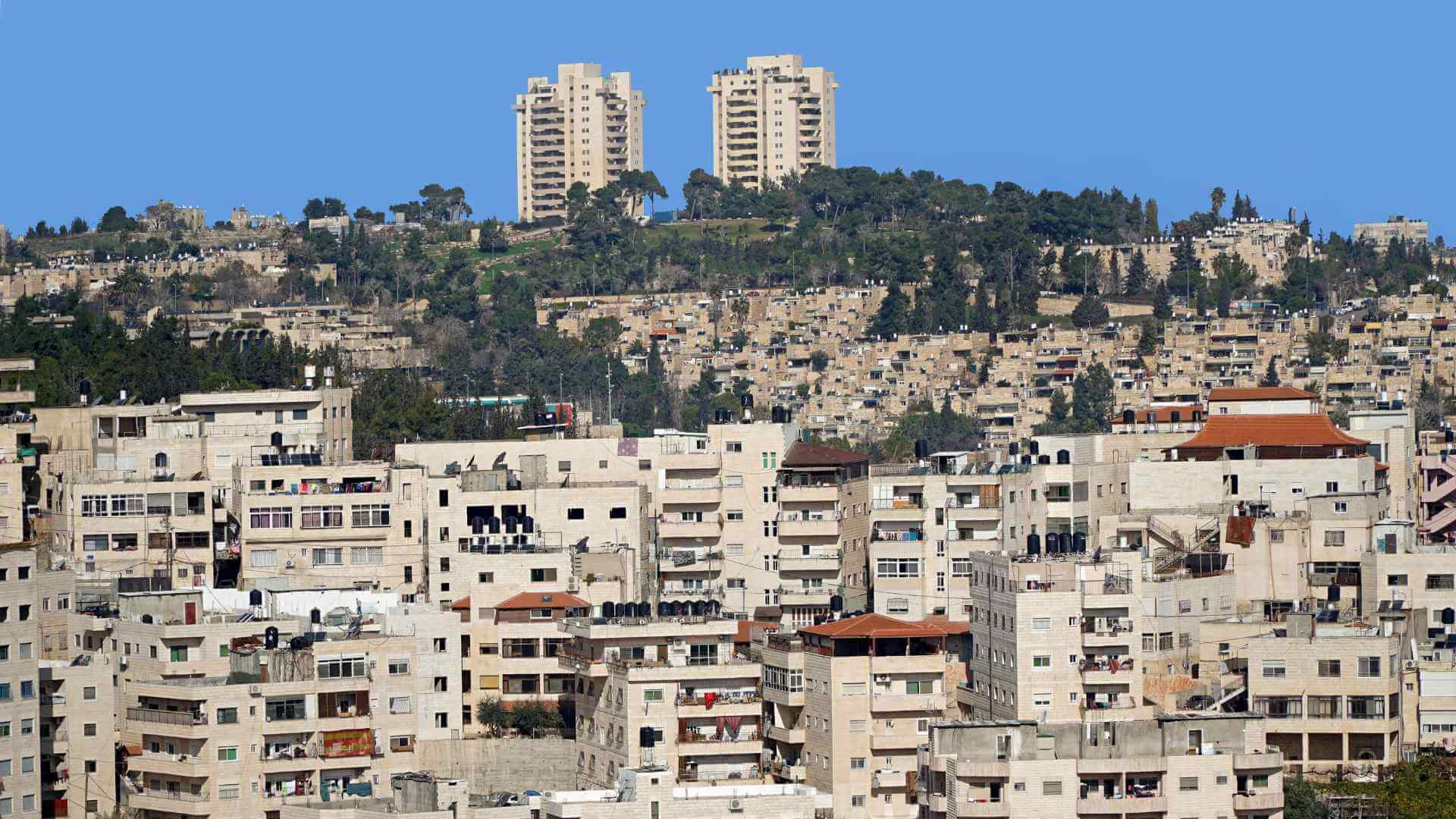 זכויות דיירים בבית משותף